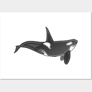 Orca Line Art Design Posters and Art